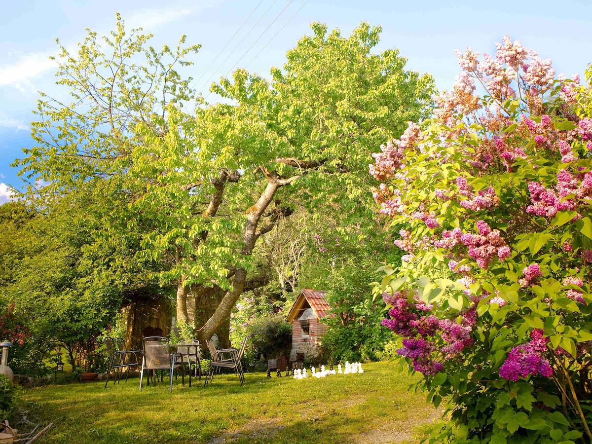 Schlossberghof - Ferienwohnung Taubenschlag (25qm) für 2 Personen in Marktrodach, Frankenwald