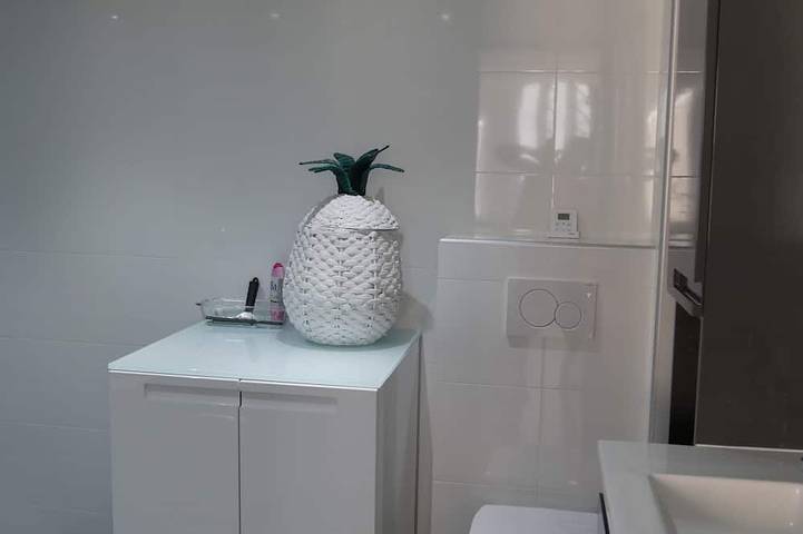 Ganze Wohnung, Schickes und modernes Loft mit industriellem Dekor in Beausoleil, Mittelmeerküste (Frankreich)