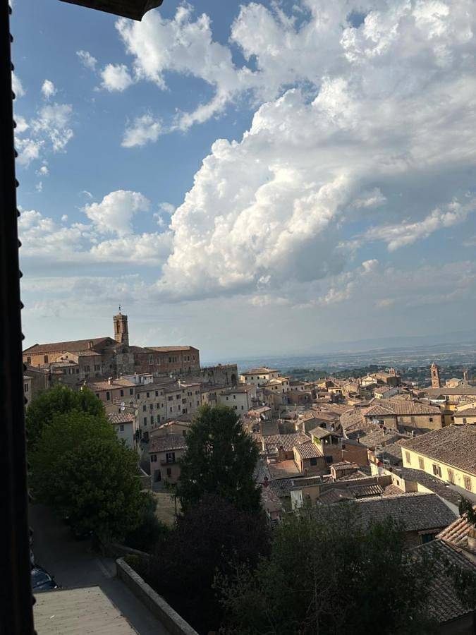 Chambre d’hôte pour 2 personnes, avec vue et jardin, animaux acceptés à Montepulciano - 3