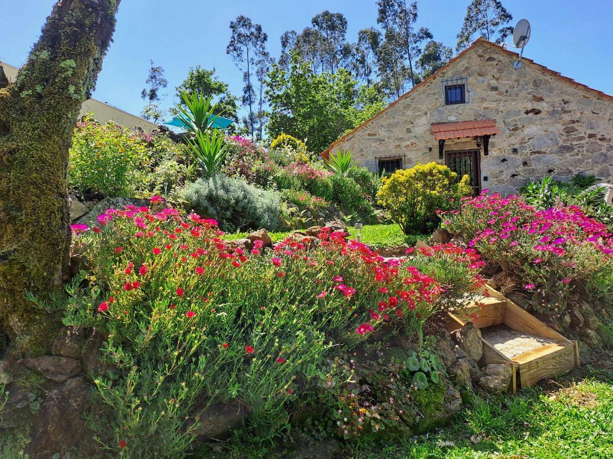 Cedrim Hillside in Talhadas, Distrito de Aveiro