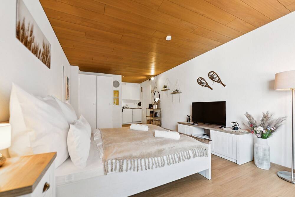 Appartamento intero, Lake View Studio I montagne I Smart Tv 45\", doccia, ascensore e parcheggio in Ingenbohl, Lago dei Quattro Cantoni