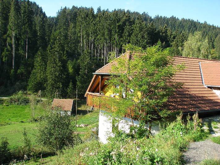 Gîte pour 6 personnes, avec balcon à Schramberg - 2