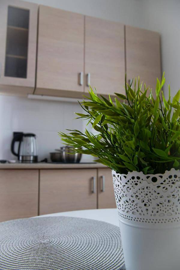 Cały apartament, One-Bedroom Apartment in Chełmno, Województwo kujawsko-pomorskie