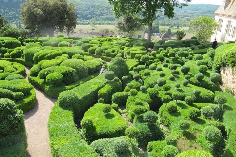 Lavendel in Gensac, Libourne und Umgebung