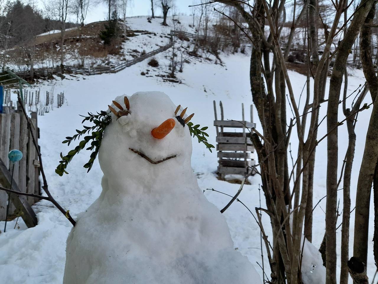 Ganze Ferienwohnung, Ferienwohnung am Biohof in Mörtschach, Oberkärnten