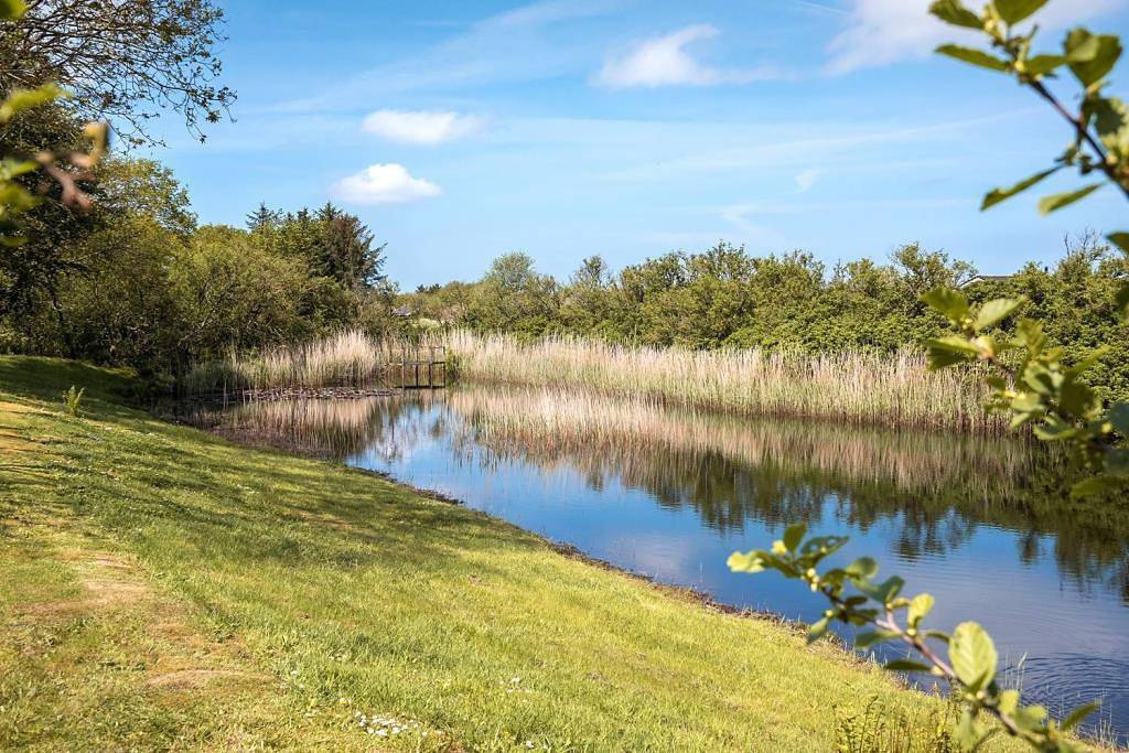 Gemütliches Ferienhaus in Bork Havn – ideal für 4 Personen & 1 Hund in Bork Havn, Ringkøbing Fjord