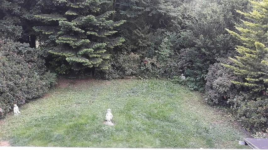 Ferienhaus für 8 Personen, mit Garten und Balkon im Teutoburger Wald - 3