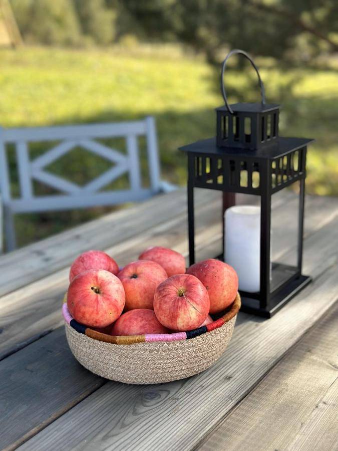 Briedžio sapnas - tipis mėnulis in Litwa