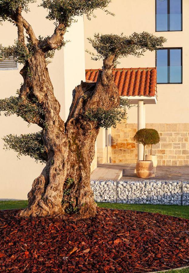 Hotel Rural Finca La Desa in Miajadas, Provincia de Cáceres