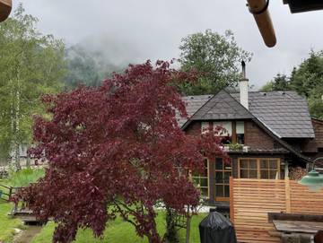 Ferienpark für 5 Personen in Donnersbachwald, Steiermark, Bild 2