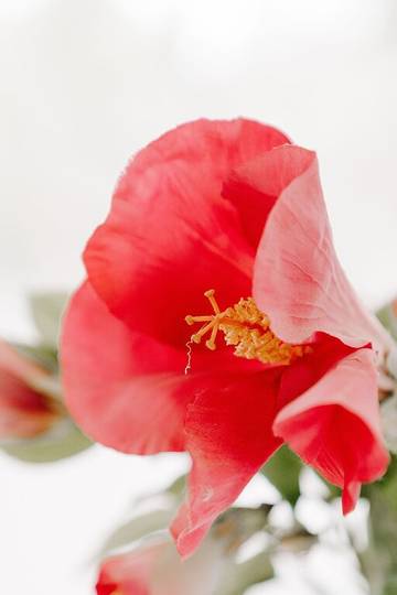 Holiday Home for 10 People in Currarong, Jervis Bay, Photo 3