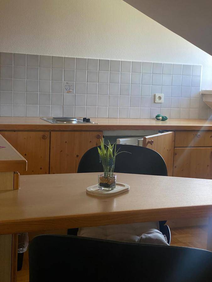 BnB für 2 Personen, mit Ausblick und Garten, mit Haustier in der Oststeiermark - 4