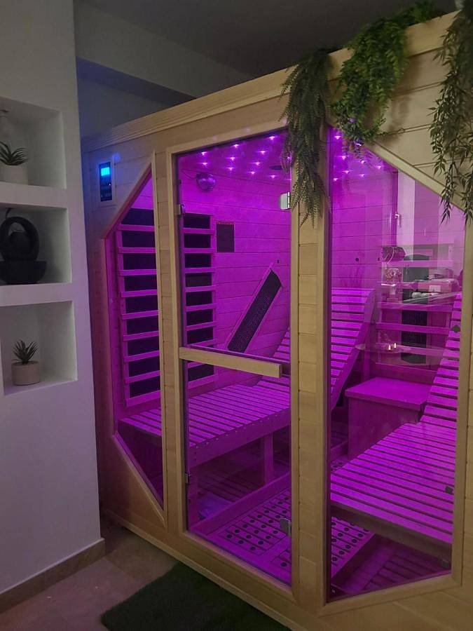 Gîte pour 2 personnes, avec terrasse ainsi que jacuzzi et sauna à Avolsheim - 4