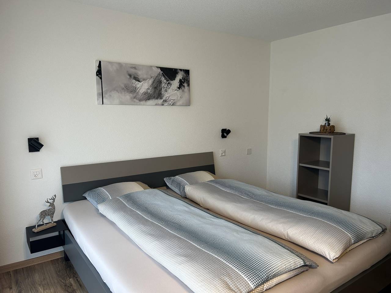 Ganze Ferienwohnung, 4-Bettwohnung Nr. 20 in Saas-Grund, Walliser Alpen