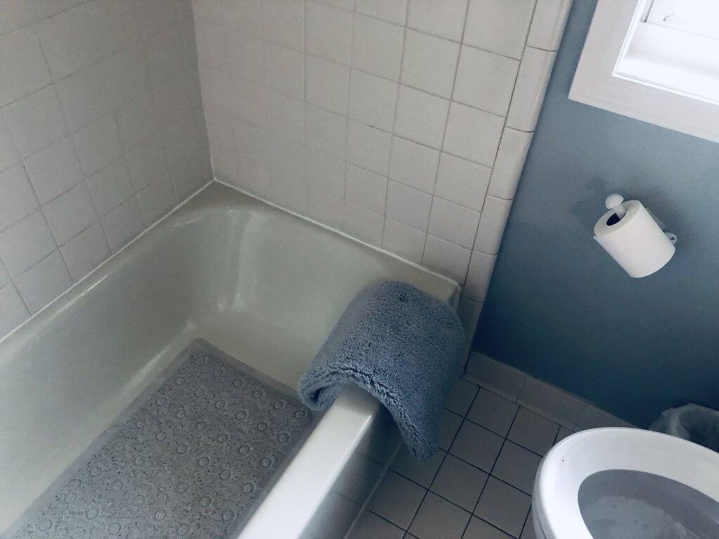 Ganze Wohnung, Fireside Ranch of Romeo in Macomb County