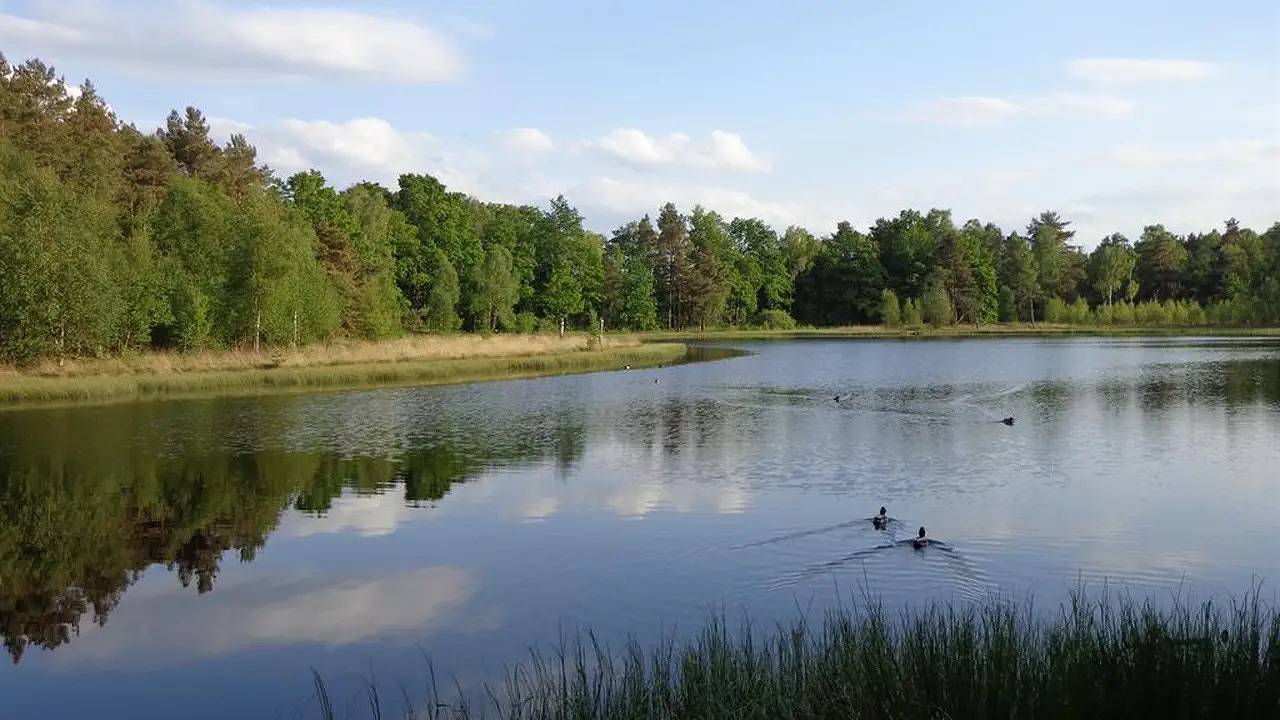 Apartamento de férias inteiro, Ferienwohnung für 5 Personen (60 m²) in Soltau in Soltau, Heidekreis