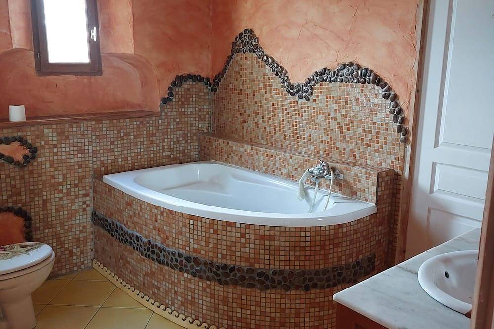 Maison Typique Gasconne de Village Avec Jardin in La Romieu, Gers