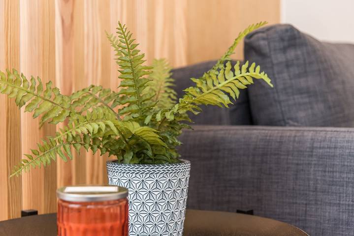 Apartamentos para temporada para 4 pessoas - 1