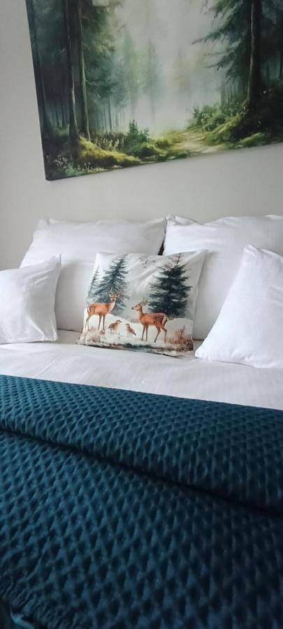 Cały apartament, Hikebike Apartments-Beskidy-Standard Premium Garaż, Winda, Rowerownia, Check-in już od wczesnego rana in Bielsko-Biała, Karpaty (Polska)