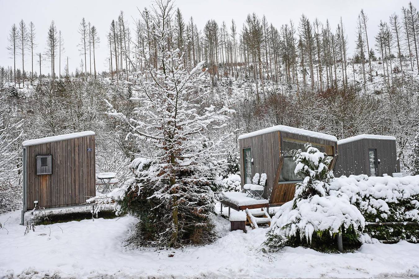 Nachhaltig & stilvoll - Übernachtung im Green Tiny Sleep Space im Harz in Osterode, Harzvorland