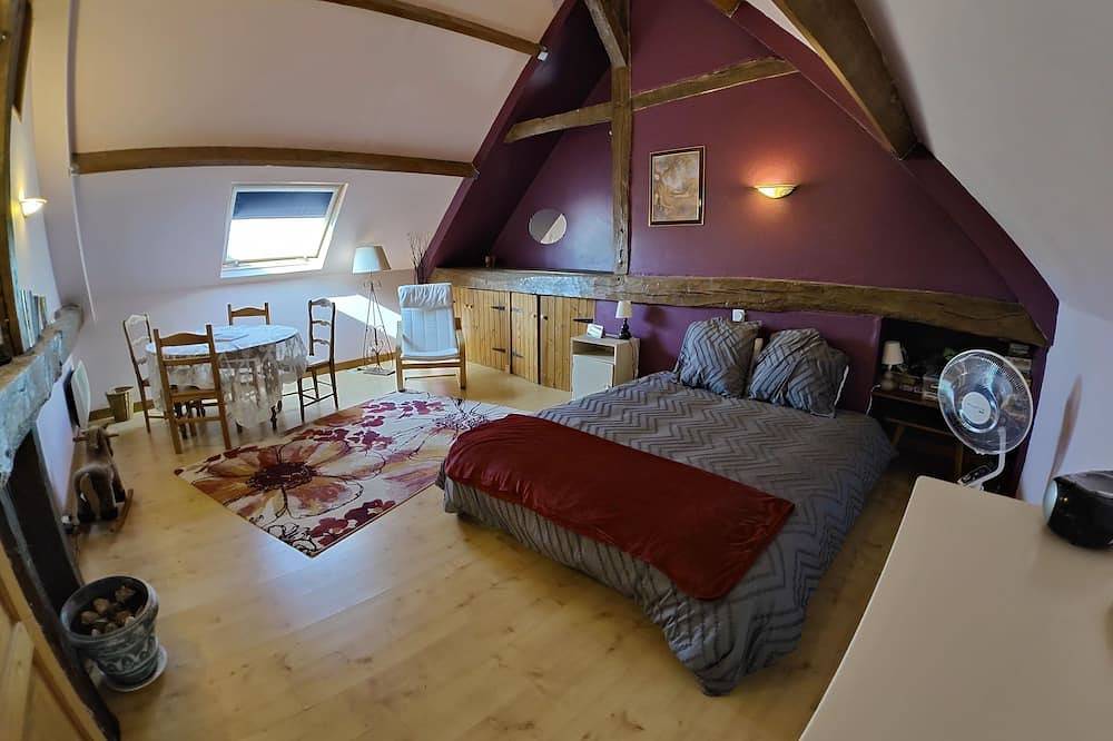 Belle maison restaurée du 15ème siècle dans un endroit très paisible rural in Sermaise, Vallée de la Loire