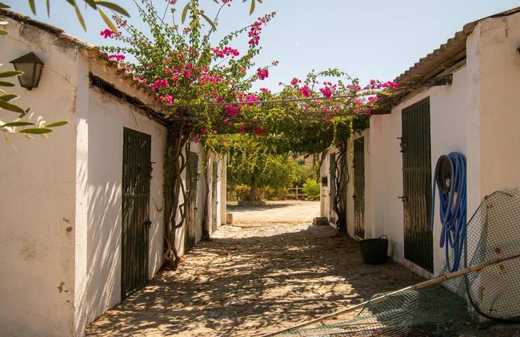 Location de vacances pour 4 personnes, avec vue ainsi que jardin et piscine à Prado del Rey - 4