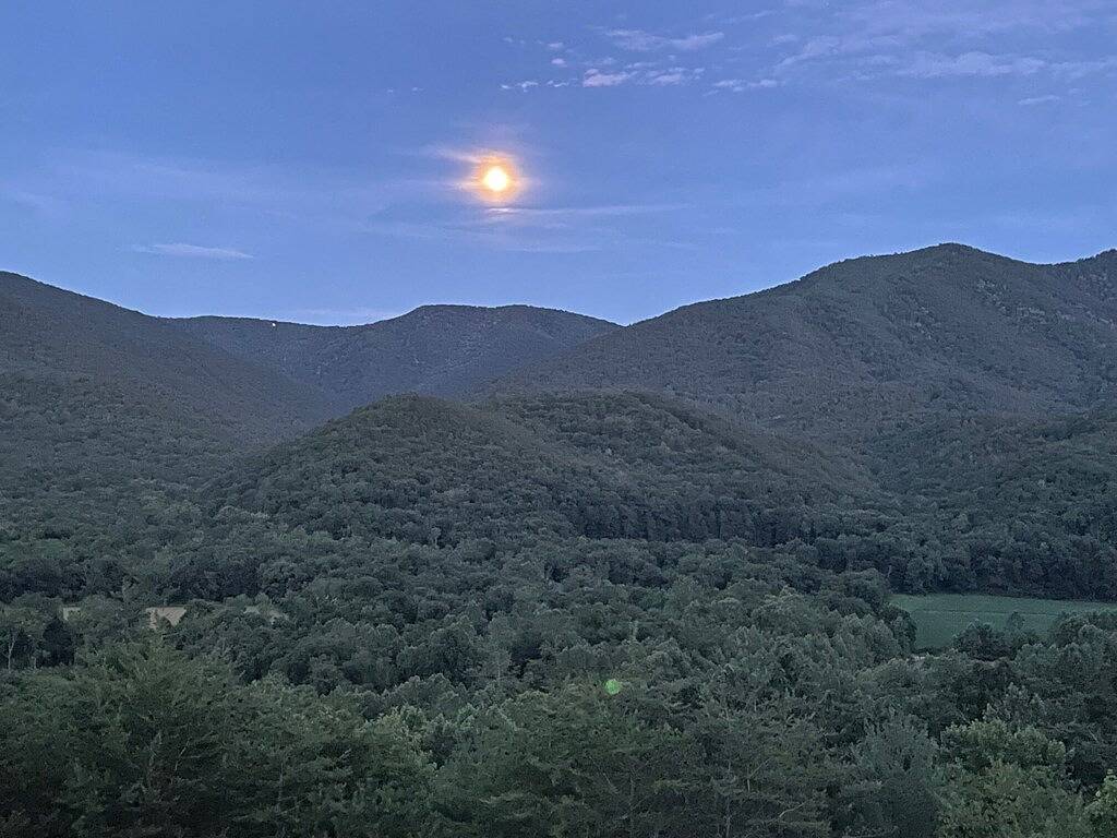 8 Schlafzimmer w / Onsite Wasserfälle, mehrere Decks, Bbq, Whirlpool, Feuerstelle und vieles mehr! in Seneca Rocks