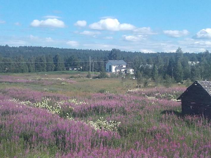 Chalet pour 5 personnes, avec sauna ainsi que vue et jardin à Rovaniemi - 4