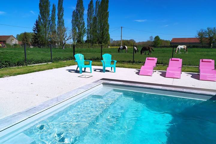 Gîte pour 3 personnes, avec jardin et piscine, animaux acceptés à Mennetou-sur-Cher - 3