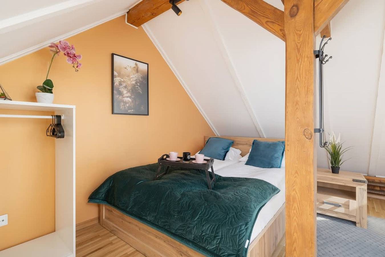 Ganze Wohnung, Pl  Baw     6   Air-conditioned Apartment   Parking in Kazimierz, Krakau