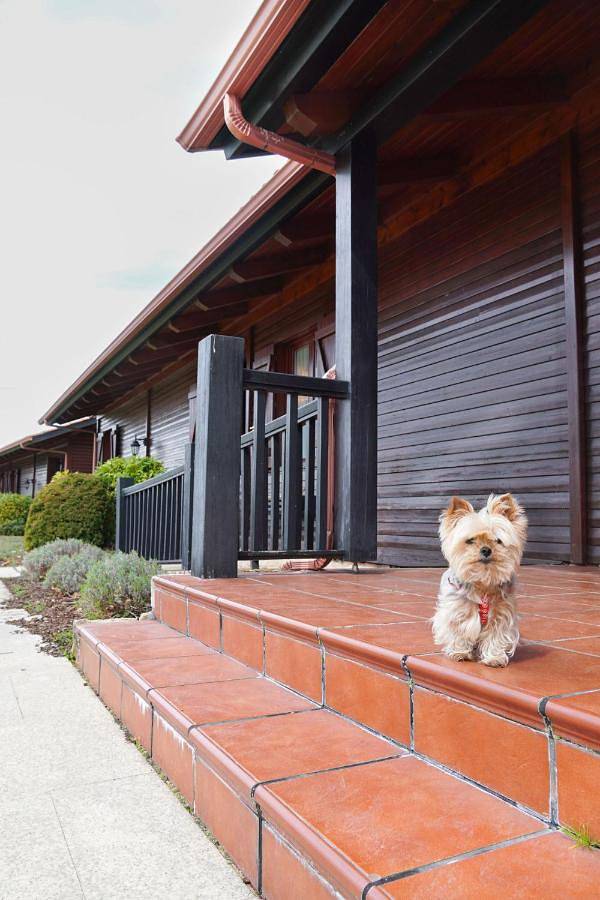 Gîte pour 2 personnes, avec jardin, animaux acceptés à Palas de Rei - 4