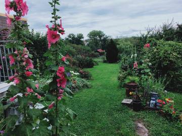 Gîte pour 5 personnes, avec vue et jardin, animaux acceptés dans Bining