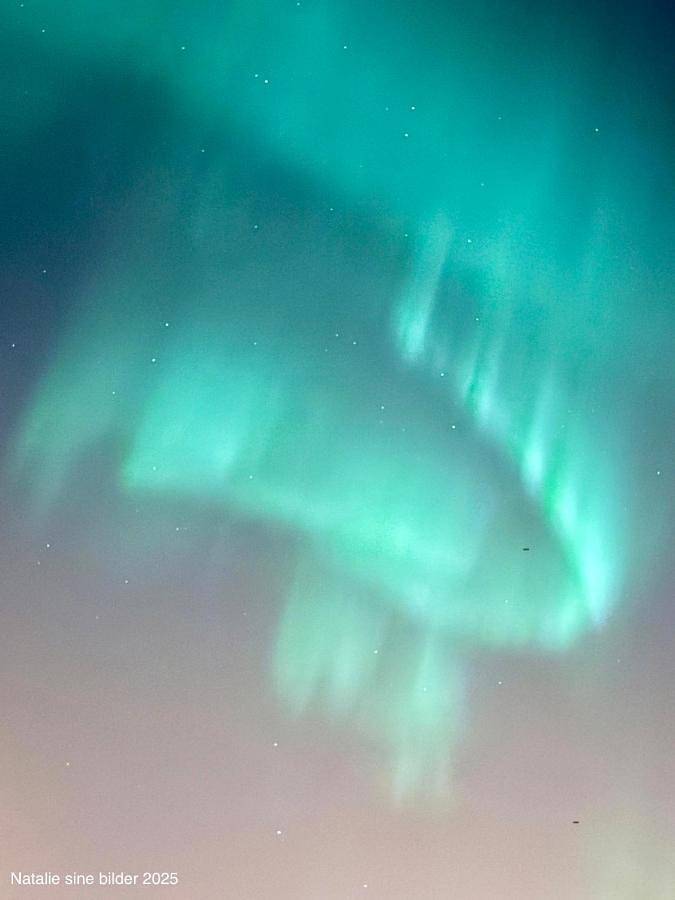 Gîte pour 4 personnes, avec vue et jardin, animaux acceptés dans Berg (Norvège)