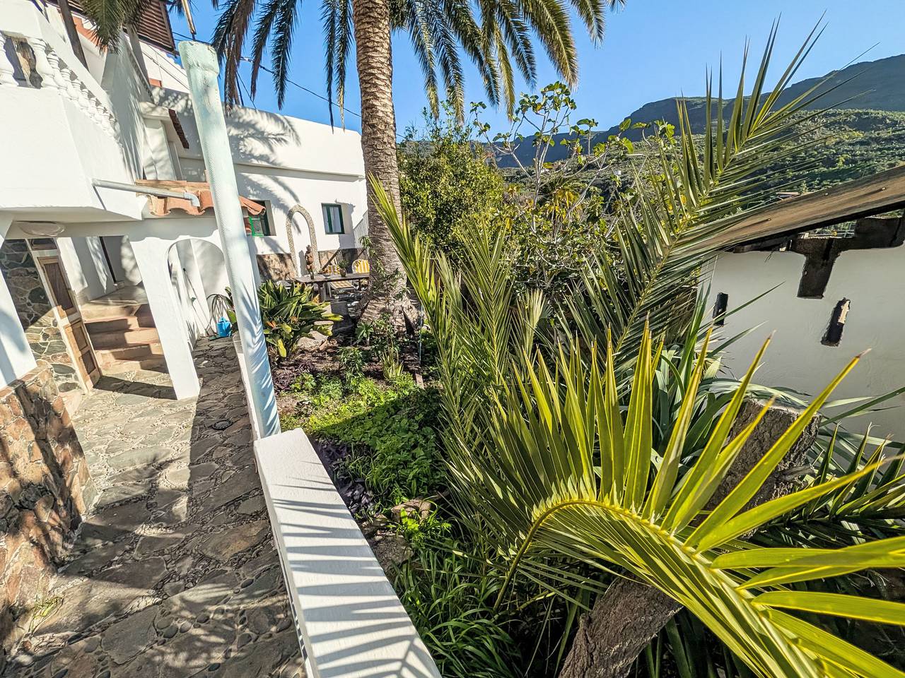 Finca Luz de Palmera in Las Lagunas (Canary Islands), Santa Lucía de Tirajana