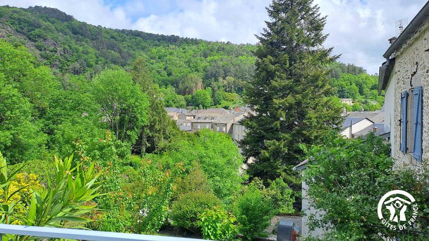 Gîte pour 3 personnes, avec Terrasse et Jardin à Vabre