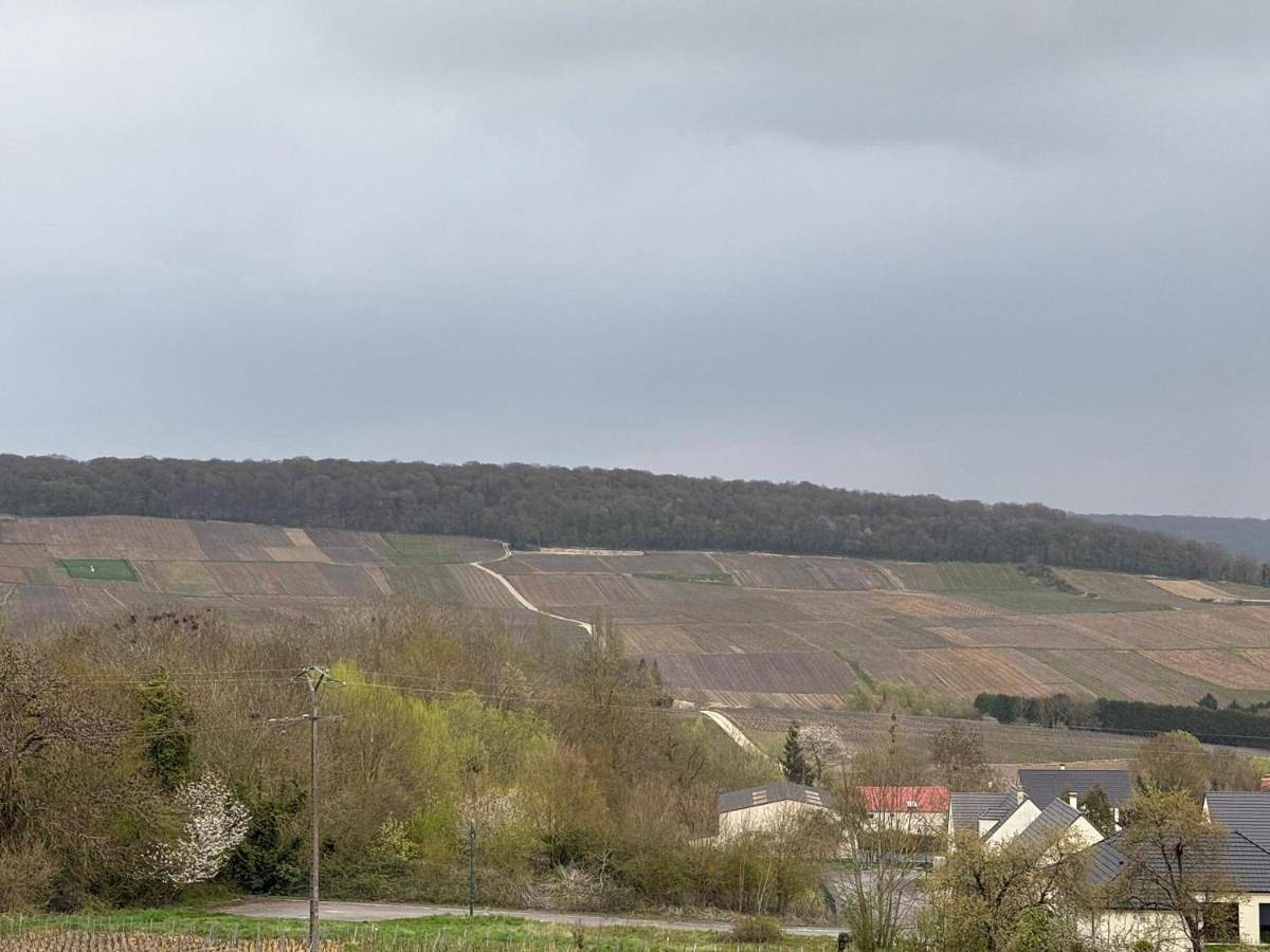 Le Gîte Champenois à Fleury La Riviere in Fleury-la-Rivière, Parc naturel régional de la Montagne de Reims