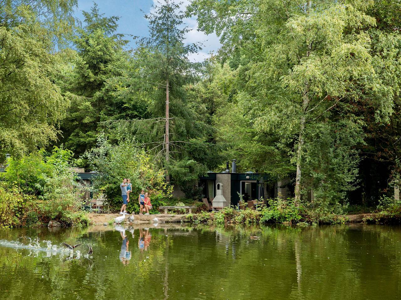 Cottage  2 personen in Grote-Brogel, Peer