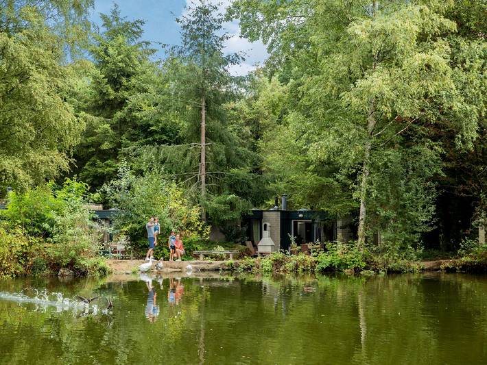 Cottage  2 personen in Grote-Brogel, Peer
