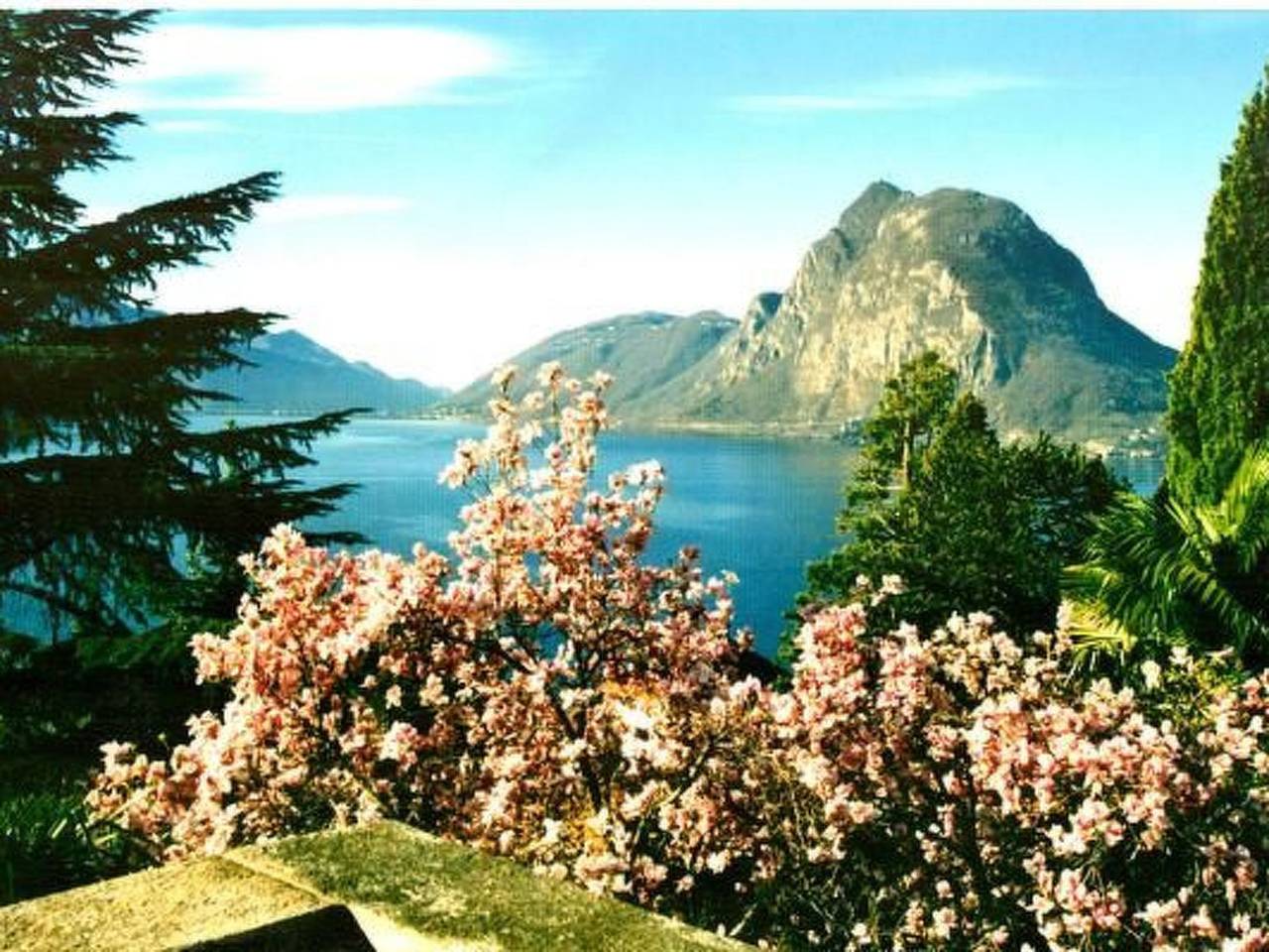Ganze Wohnung, Viola in Lugano, Luganersee