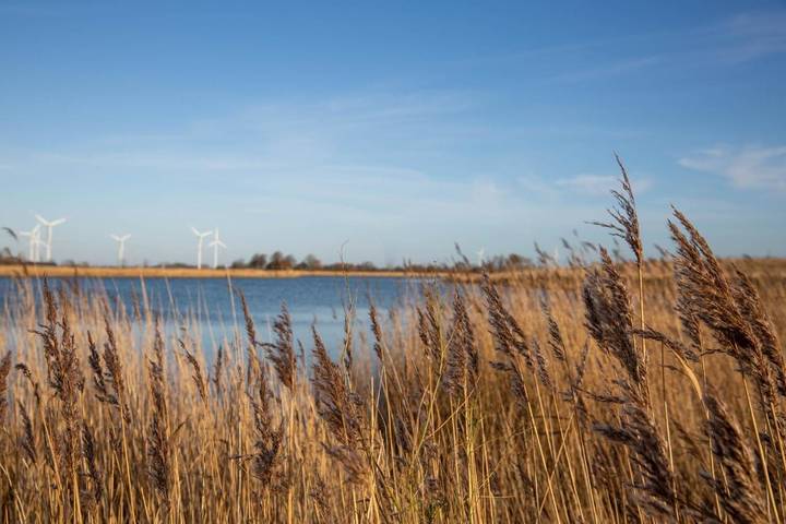Ferienhaus für 6 Personen, mit Garten und Ausblick sowie Seeblick, mit Haustier in Wangerland - 3