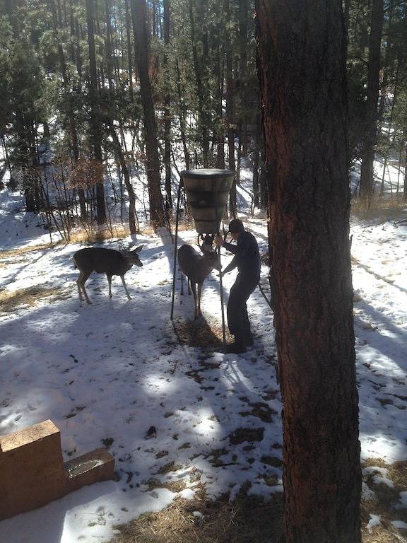 Texas House: Berghaus in Ruidoso / Alto Lakes Golf & Cc. Neue Heizung & A / C in Alto, Ski Apache