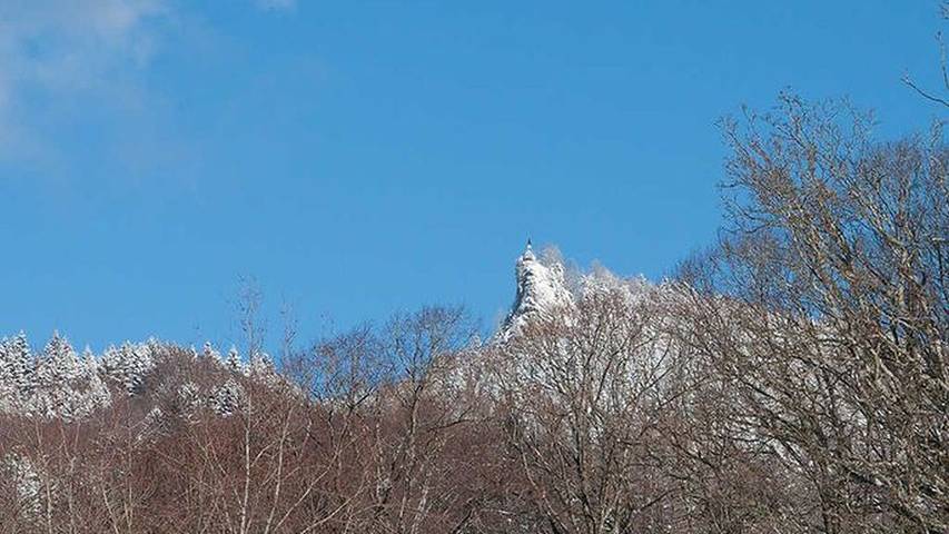 Gîte pour 3 personnes, avec jardin au Tegernsee - 2