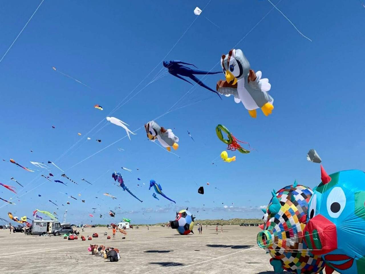 2 Personer feriebolig i Fanø in Rindby, Wadden Sea National Park