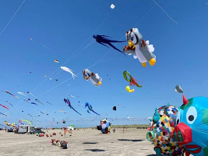 Ferienhaus für 2 Personen, mit Pool, mit Haustier in Dänemark an der Nordsee - 2