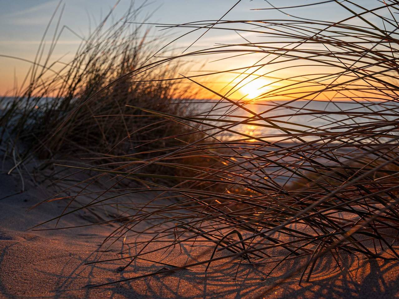 6 Personen Ferienhaus in Blokhus in Blokhus, Jammerbugt