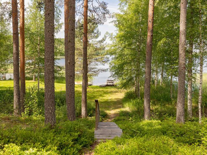 Ferienhaus für 4 Personen, mit Sauna, mit Haustier - 1
