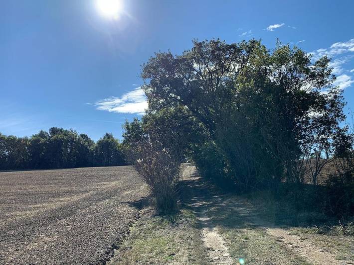 Location de vacances pour 6 personnes, avec vue ainsi que piscine et jardin, animaux acceptés à La Bastide-des-Jourdans - 4