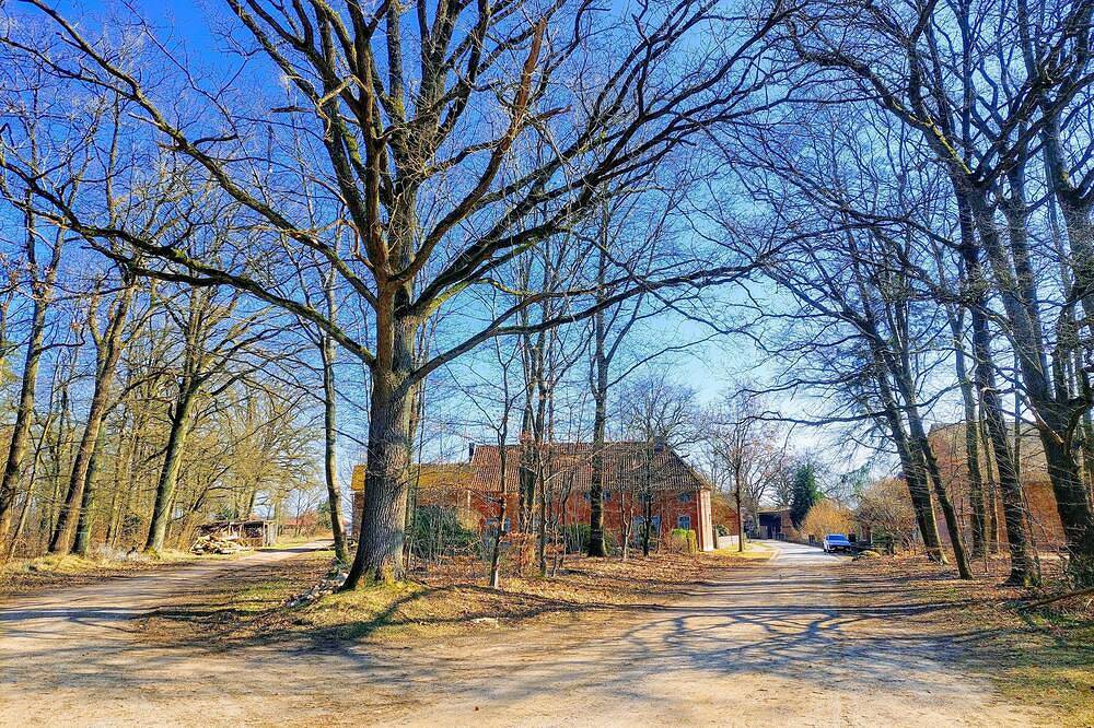 Ganze Wohnung, Alte Scheune Ferienwohnung für 4 Personen am Waldrand in Suderburg, Landkreis Uelzen