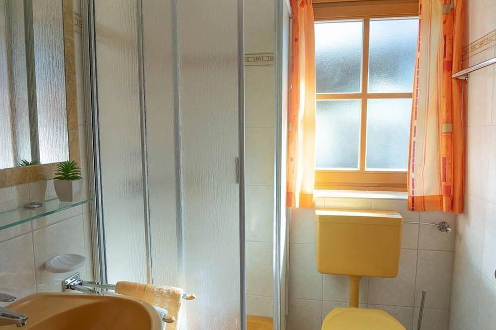 Ganze Wohnung, Schernthaner, Gästehaus - Apartment/1 Schlafraum/Dusche, Wc in Dorfgastein, Ski Amadé