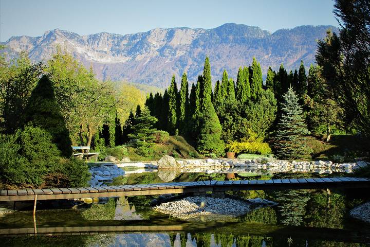 Ferienwohnung für 6 Personen, mit Garten und Balkon in Bad Goisern am Hallstättersee - 4